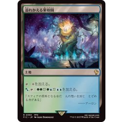 画像1: [EX+]溢れかえる果樹園/Flooded Grove《日本語》【FIC】