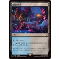 地底の大河/Underground River《日本語》【FIC】