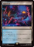 [EX+]地底の大河/Underground River《日本語》【FIC】