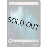 [EX+](FOIL)(フルアート)(0301)沼/Swamp《日本語》【FIN】