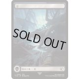[EX+](FOIL)(フルアート)(0302)沼/Swamp《日本語》【FIN】