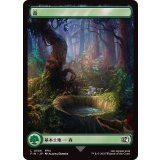 (FOIL)(フルアート)(0306)森/Forest《日本語》【FIN】