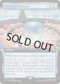 [EX+](FOIL)(フルアート)ブリッツボール・スタジアム/Blitzball Stadium《英語》【FIC】