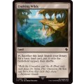 (サージFOIL)進化する未開地/Evolving Wilds《英語》【FIC】