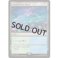 [EX+]溢れ出た区画/Overflowing Basin《英語》【FIC】