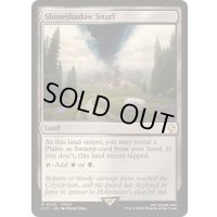 [EX+]光影の交錯/Shineshadow Snarl《英語》【FIC】