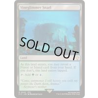 [EX+]蔦明の交錯/Vineglimmer Snarl《英語》【FIC】