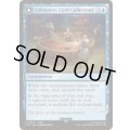サブクエスト：カードコレクション/Sidequest: Card Collection《英語》【FIN】