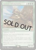 [EX+](FOIL)古代のアダマンタイマイ/Ancient Adamantoise《英語》【FIN】
