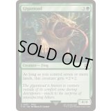[EX+](FOIL)ギガントード/Gigantoad《英語》【FIN】