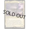 (FOIL)スピラの罰、『シン』/Sin, Spira's Punishment《英語》【FIN】