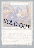 [EX+]星風の幻霊/Eidolon of Astral Winds《日本語》【J25】