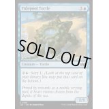 潮溜まりの亀/Tidepool Turtle《英語》【J25】