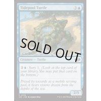[EX+]潮溜まりの亀/Tidepool Turtle《英語》【J25】