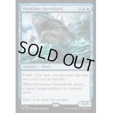 大食の巨大鮫/Voracious Greatshark《英語》【J25】