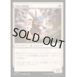 内陸の聖別者/Hinterland Sanctifier《日本語》【FDN】