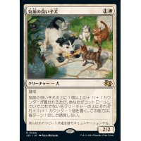 [EX+]気前の良い子犬/Generous Pup《日本語》【J25】