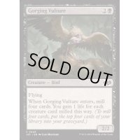 [EX+]貪る禿鷹/Gorging Vulture《英語》【J25】