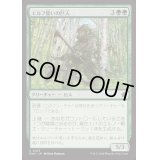 エルフ誓いの巨人/Elfsworn Giant《日本語》【FDN】