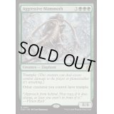 [EX+]攻撃的なマンモス/Aggressive Mammoth《英語》【FDN】