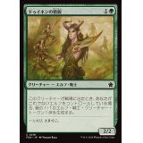 (FOIL)ドゥイネンの精鋭/Dwynen's Elite《日本語》【FDN】