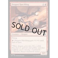 [EX+]ドラゴンの雛/Dragon Hatchling《英語》【J25】