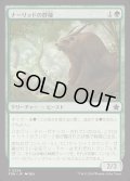[EX+]ナーリッドの群棲/Gnarlid Colony《日本語》【FDN】