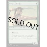 (FOIL)ラノワールのエルフ/Llanowar Elves《日本語》【FDN】