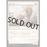 群れの王/King of the Pride《日本語》【J25】