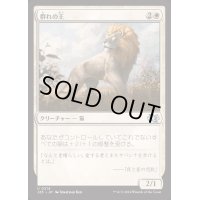 群れの王/King of the Pride《日本語》【J25】