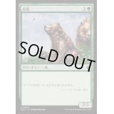 仔熊/Bear Cub《日本語》【FDN】