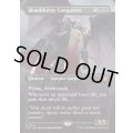 [EX+](フルアート)(0318)血に飢えた征服者/Bloodthirsty Conqueror《英語》【FDN】