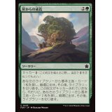 (FOIL)灰からの成長/Grow from the Ashes《日本語》【FDN】