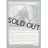 [EX+]茨橋の追跡者/Briarbridge Tracker《英語》【J25】