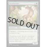 刷毛履き/Brushstrider《英語》【J25】