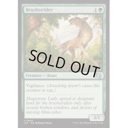 画像1: 刷毛履き/Brushstrider《英語》【J25】