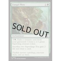 [EX+]菌類の勢力範囲/Fungal Plots《英語》【J25】