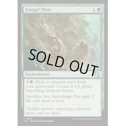 画像1: 菌類の勢力範囲/Fungal Plots《英語》【J25】