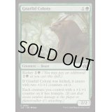 ナーリッドの群棲/Gnarlid Colony《英語》【J25】
