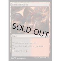 [EX+]血溜まりの洞窟/Bloodfell Caves《英語》【FDN】