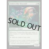 [EX+]地下の地下のマイコニド/Undercellar Myconid《英語》【J25】