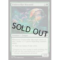 [EX+]地下の地下のマイコニド/Undercellar Myconid《英語》【J25】