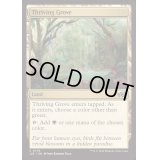 [EX+]興隆する木立/Thriving Grove《英語》【J25】
