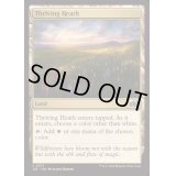 [EX+]興隆する荒野/Thriving Heath《英語》【J25】