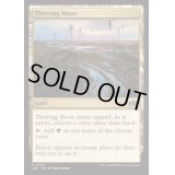 [EX+]興隆する湿地帯/Thriving Moor《英語》【J25】