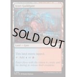 [EX+]イゼットのギルド門/Izzet Guildgate《英語》【FDN】