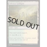 [EX+]セレズニアのギルド門/Selesnya Guildgate《英語》【FDN】