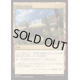 未知なる安息地/Uncharted Haven《日本語》【FDN】