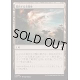 (FOIL)進化する未開地/Evolving Wilds《日本語》【FDN】