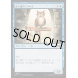 使い魔のフクロウ/Owl Familiar《日本語》【J25】